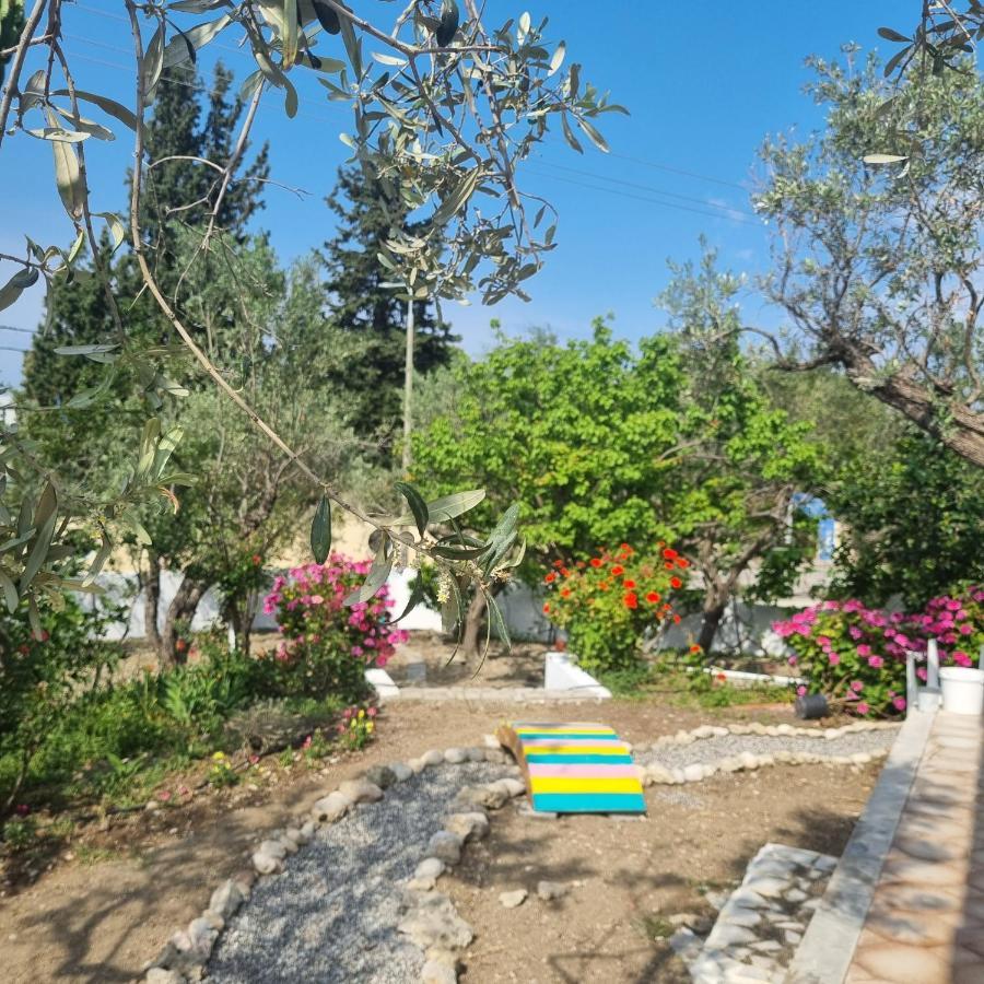 Arocaria - Faliraki Peaceful Apartments Exterior foto